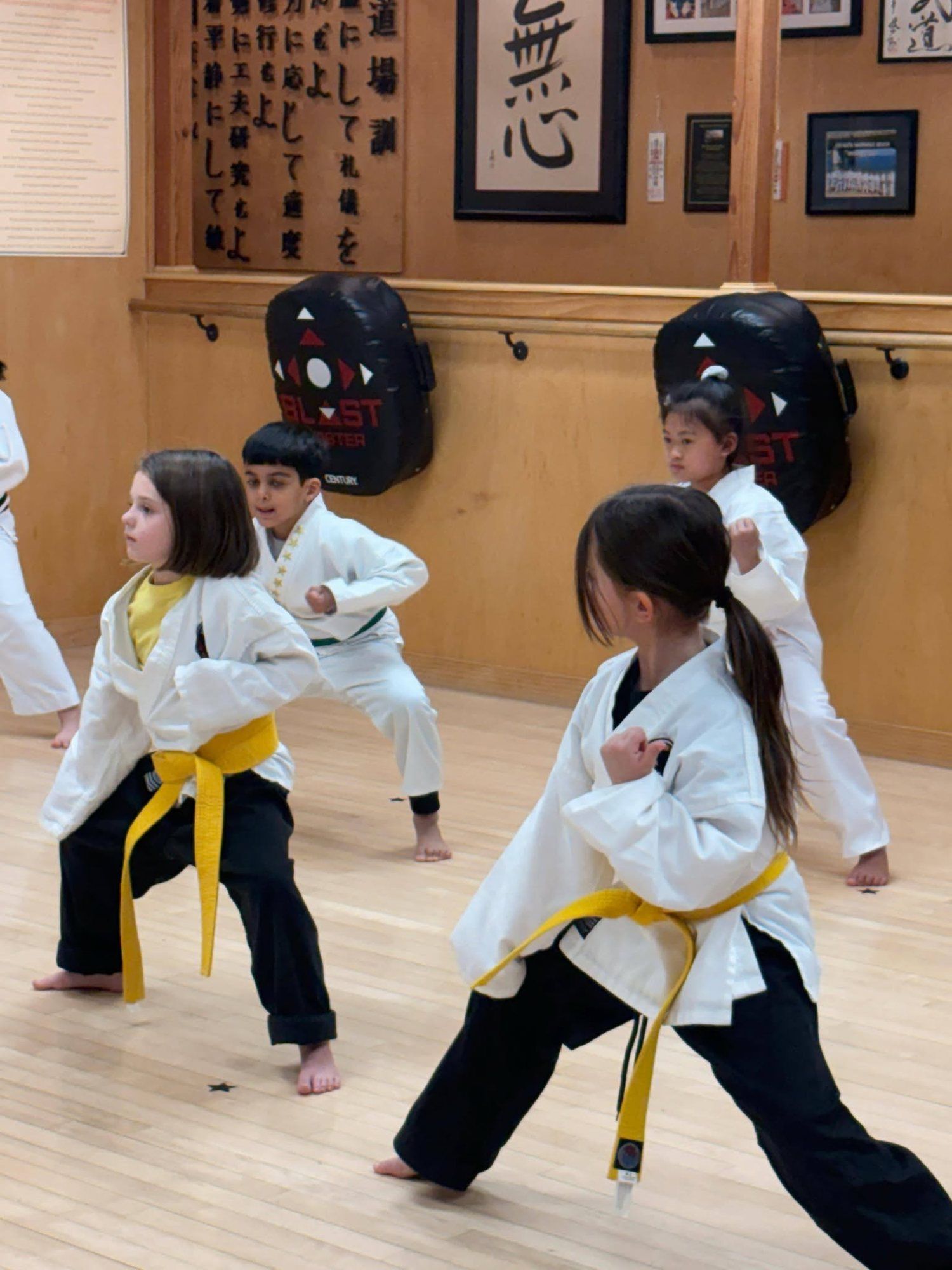Kids with yellow belts hold low stances in a class at the Old Bridge dojo.